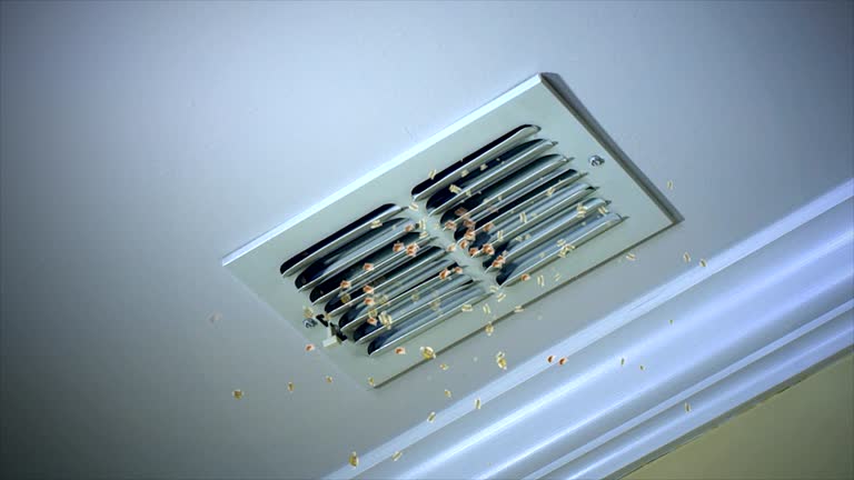 Best Best Air Duct Cleaning Company  in Maiden, NC