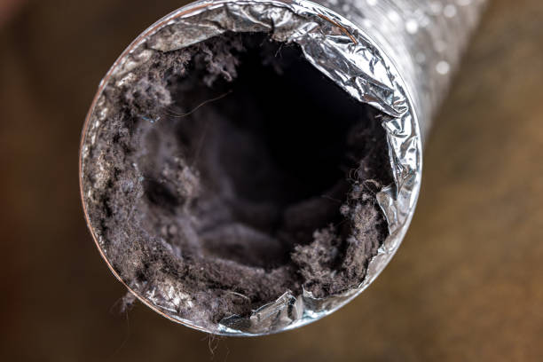 Best HVAC Duct Inspection Services  in Maiden, NC