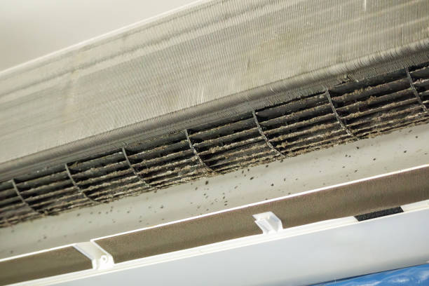 Best Ductwork Cleaning Services  in Maiden, NC